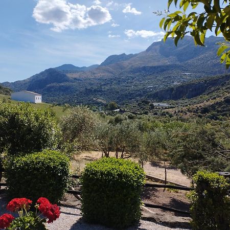 Posada Del Moral Benaoján Exteriér fotografie