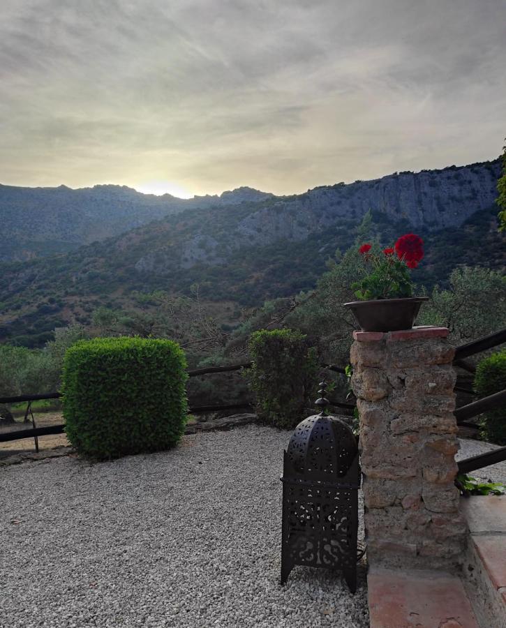 Posada Del Moral Benaoján Exteriér fotografie